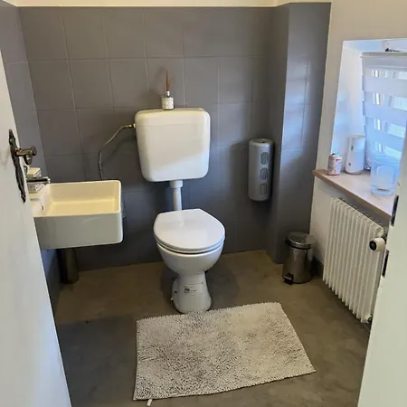 Family House Near Basel Hot Tub, Sleeps 12 Folgensbourg