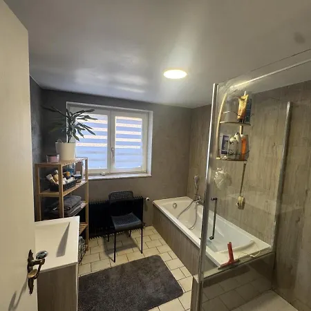 Family House Near Basel Hot Tub, Sleeps 12 Σπίτι διακοπών Folgensbourg