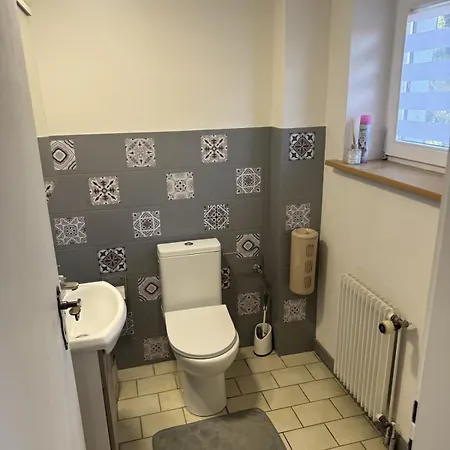 Family House Near Basel Hot Tub, Sleeps 12 Folgensbourg